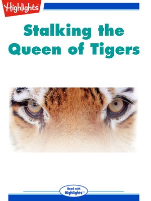 cover image of Stalking The Queen of Tigers